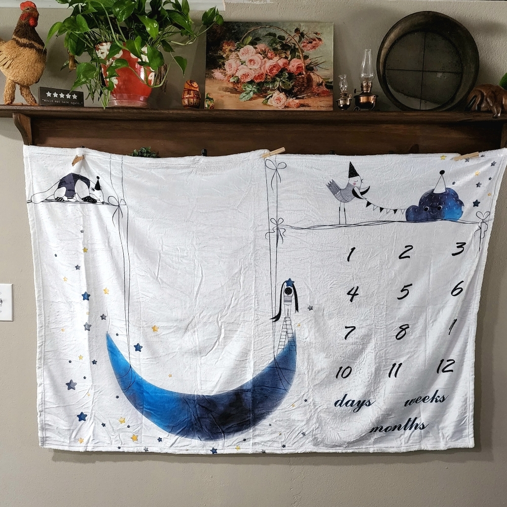 Baby Milestone Blanket